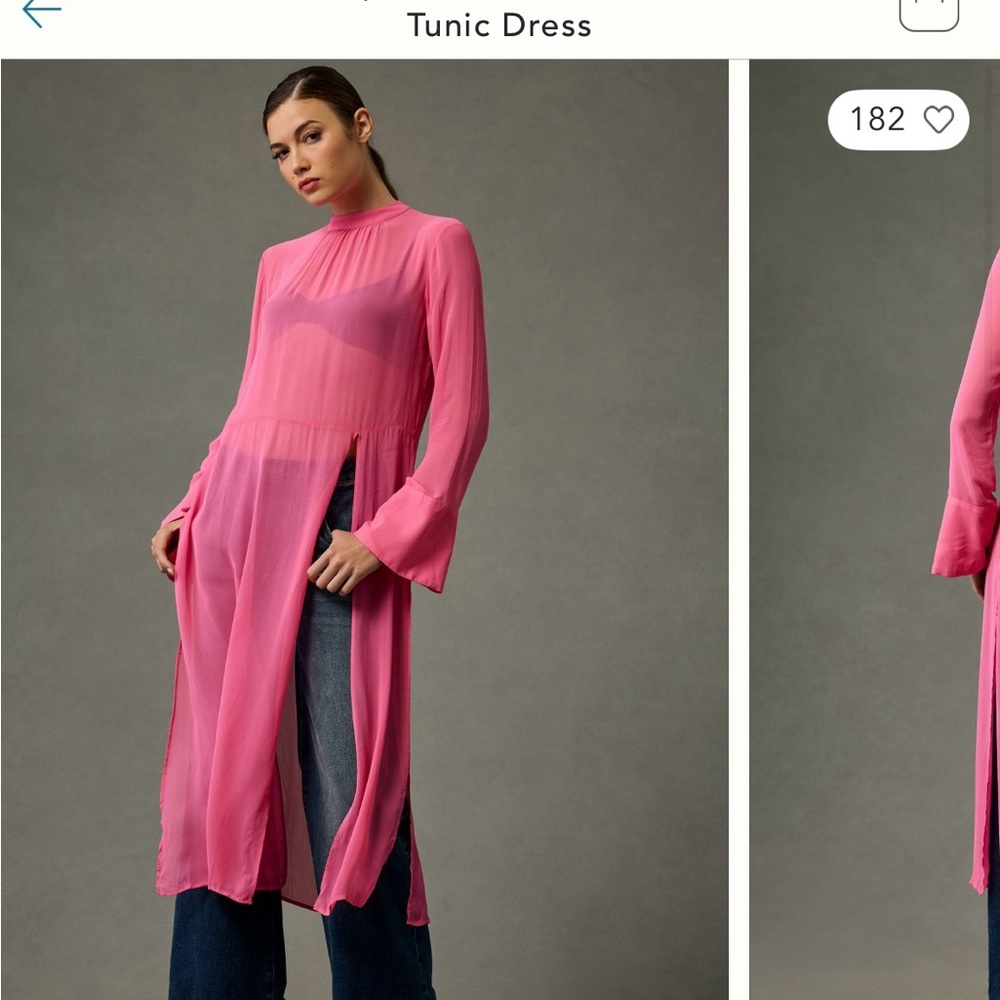 Anthropologie Sheer Tunic Dress size 1X